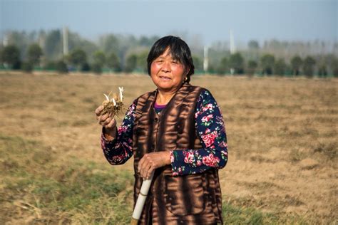 农村奶奶骑行几十公里捡药材，窍门是找草窝