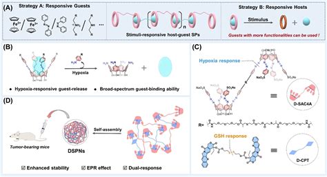 Development Of Stimuli Responsive Polymeric Nanomedicines Modulating