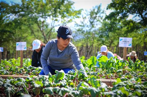 Impulsan desarrollo del empleado público agrícola Agencia