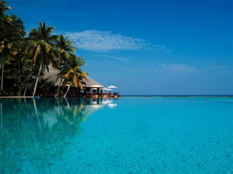 Veligandu Island Resort And Spa In Maldives Islands Room Deals Photos