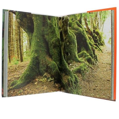 La Vie Secr Te Des Arbres Edition Int Grale Illustr E De Photos