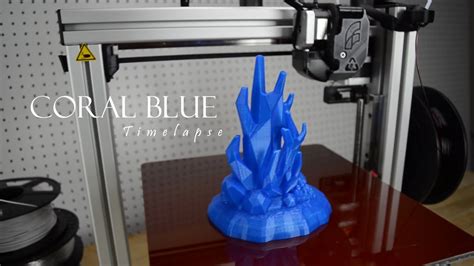 3d Printing Time Lapse Coral Blue Youtube