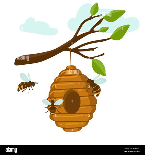 Yellow Bee Hive On A White Background Bee Hive Isolate Stock Vector