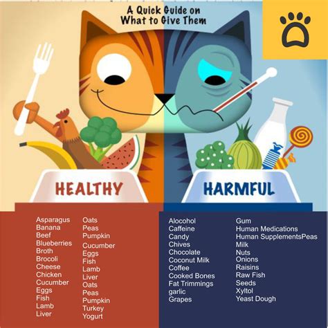 Human Food For Cats Google Search Foods Cats Can Eat Human Food