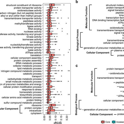 Comparison Of Two Phylogenetic Trees Constructed Using The Core Genome