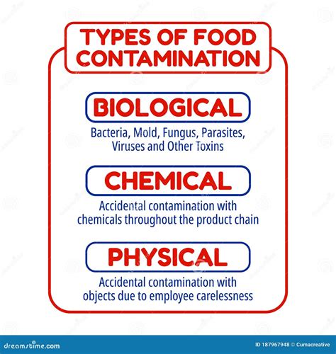 Types of Food Contamination. Food Safety Display Boards Stock Vector ...