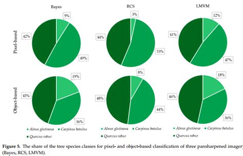 The Share Of The Tree Species Classes For Pixel And Object Based