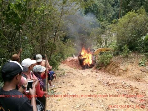 Illegal Mining Di Hutan Adat Desa Baru Pangkalan Jambu Elwamendri