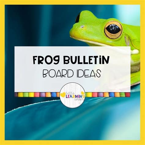 Frog Bulletin Board Ideas Little Learning Corner