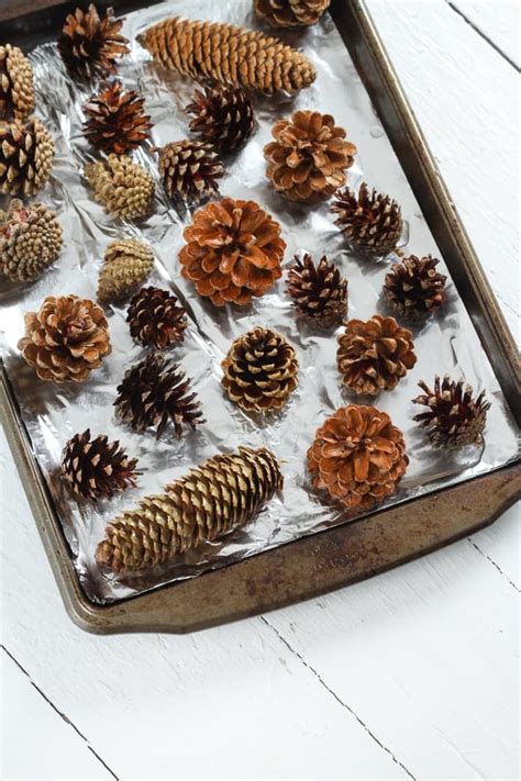 How To Make Diy Scented Pinecones Apartment Therapy Cones Crafts