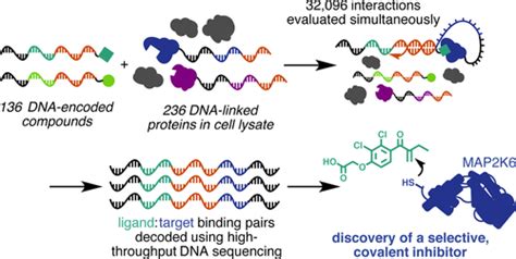 Discovery Of A Covalent Kinase Inhibitor From A Dna Encoded Small Molecule Library × Protein