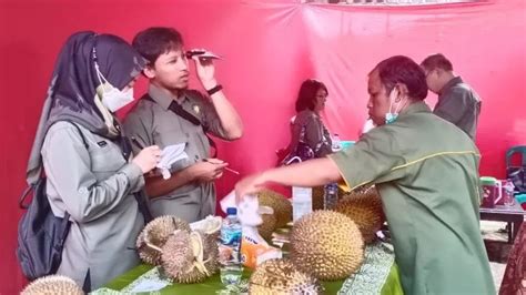 Launching Sentra Durian Lokal Kuwarasan Kecamatan Jambu Kabupaten