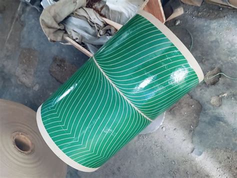 Printed 14 Inch Sitting Green Paper Plates Roll GSM 100 At Rs 63 Kg