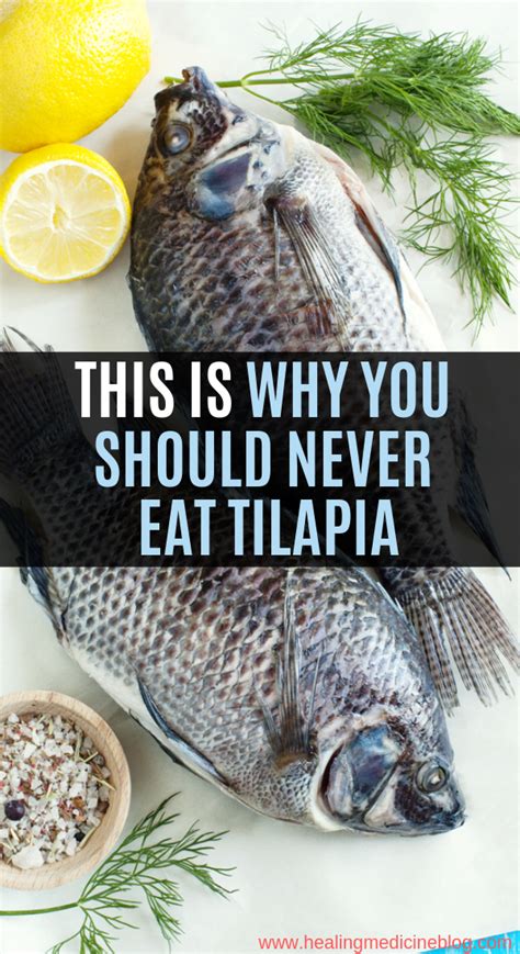 This Is Why You Should Never Eat Tilapia Tilapia Eating Organic Healthy Recipes