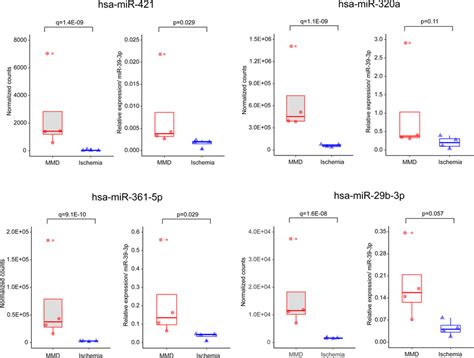 Bee Swarm And Box Plots Showing Selected Mirna Expressions In Csf The Download Scientific