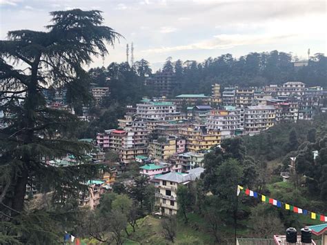 As Dharamshala grows, the city eats into the forest