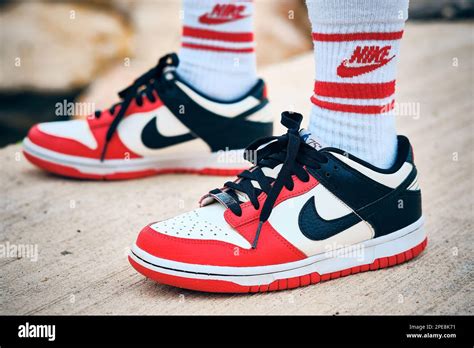 Nike Dunk Low Emb Nba 75th Anniversary Chicago Stock Photo Alamy