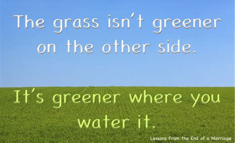 The Grass Isn’t Greener Lessons From The End Of A Marriage