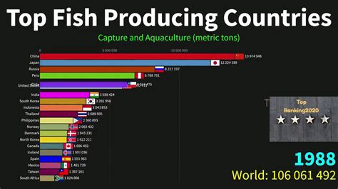 Top Fish Producing Countries 1950 To 2018 Youtube