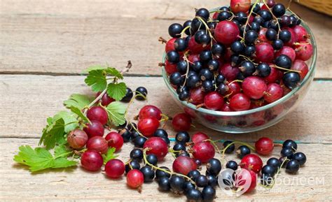 Витамин P - в продуктах, применение, недостаток