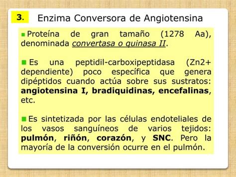 Eje Renina Angiotensina Aldosteromna PPT Descarga Gratuita