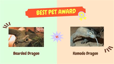 Bearded Dragon vs. Komodo Dragon: Which Pet is Right for You?