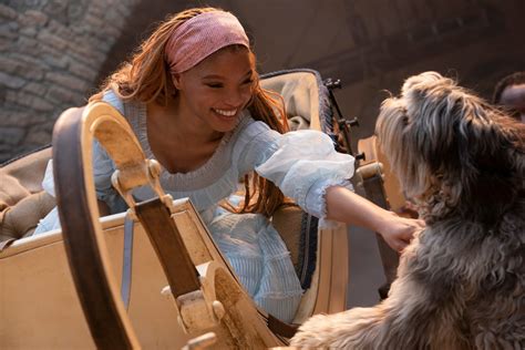 Almanaque Disney on Twitter HALLE BAILEY VOCÊ NÃO CANSA DE SER TÃO