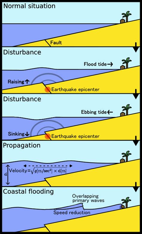 Burgener blog: causes of tsunami