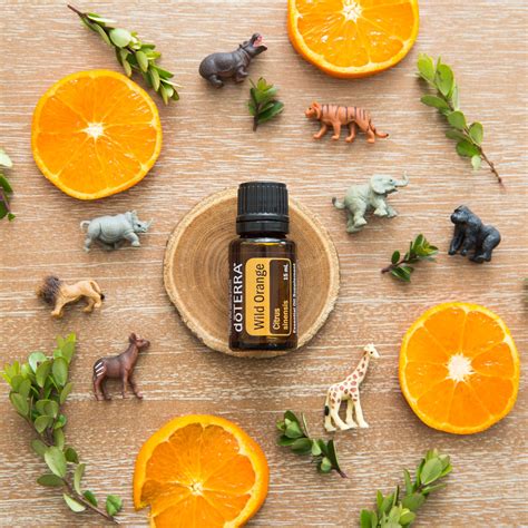 Selling Essential Oils Doterra Essential Oils Essential Oil Diffuser