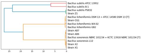 Microorganisms Free Full Text Characterization Of Bacillus Strains