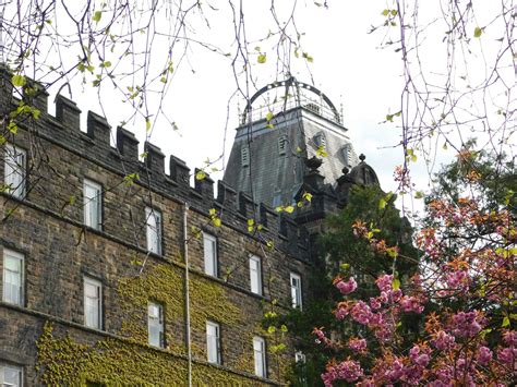 Why metro train budget cuts are sparking a heated public debate 22