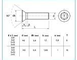 Vis Inox Torx T Te Frais E M