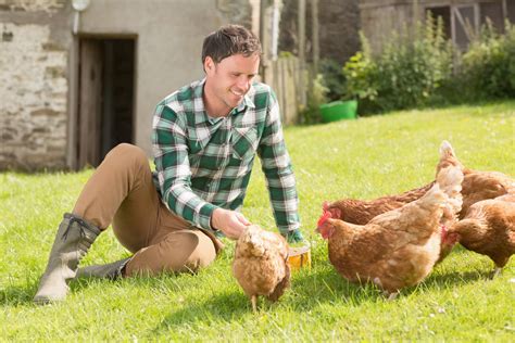 Hobby Farm Egg Production Blains Farm And Fleet Blog