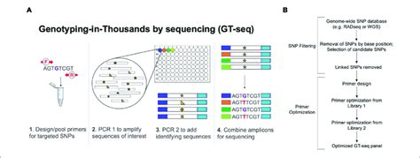 Schematics Of Genotyping In Thousands By Sequencing Gt Seq A