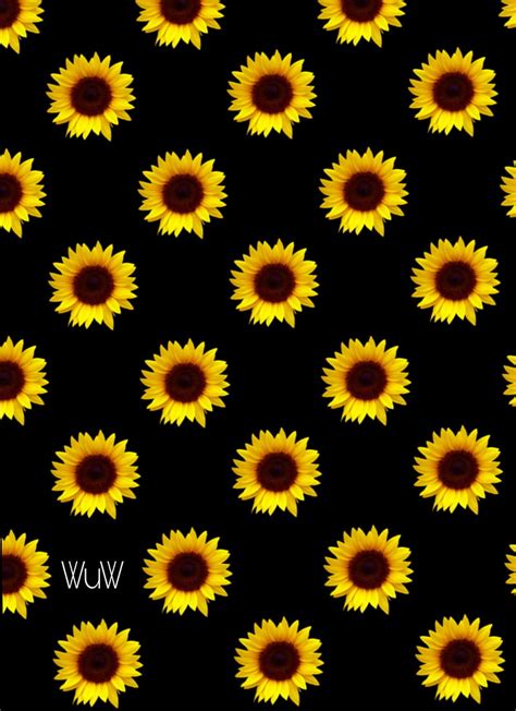 Total 82 Imagen Background Girasol Abzlocal Mx