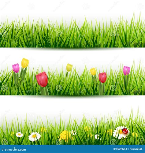 Set Of Grass Borders Stock Vector Illustration Of Leaf 85090264