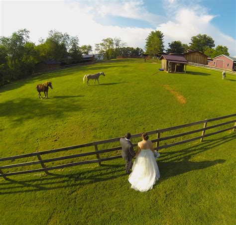 13 Modern Wedding Photo Ideas Thatll Look Timeless Forever Huffpost Life