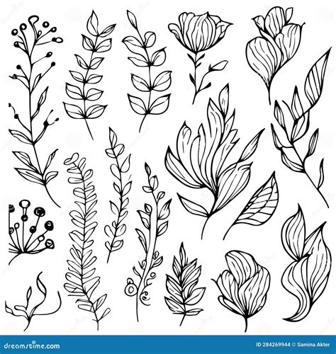 Simple Botanical Line Drawing, Simple Botanical Flower Drawings, Easy ...