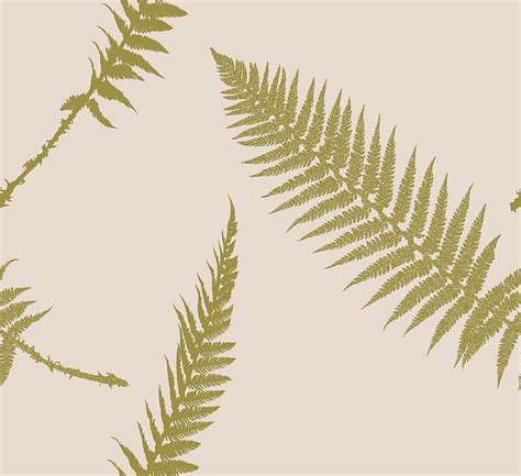 Vintage Fern Hd Wallpaper Pxfuel