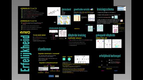 Erfelijkheid By Wietske Logtenberg On Prezi