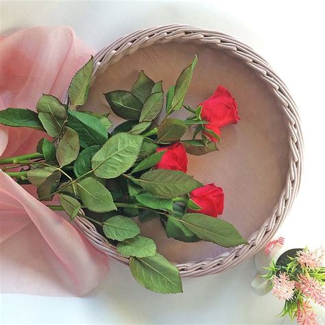 Round Tray For Coffee Table Round Wicker Tray Basket Serving Plywood