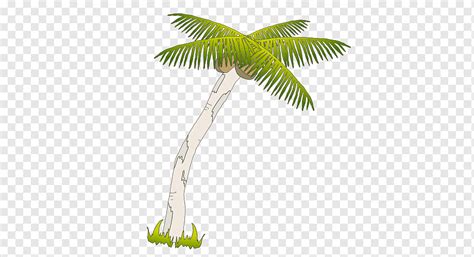 Arecaceae Coconut Drawing Tree Hand Painted Cartoon Coconut