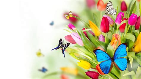 HD wallpaper: 1366x768, butterfly, flowers | Wallpaper Flare