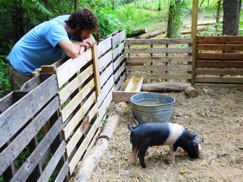 Pallet Pig Pen Pig Pen Pet Pigs Pig House