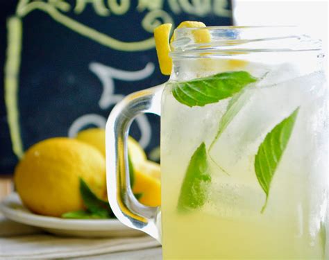 Italian Lemonade – A Kidney Friendly Lemonade Renal Friendly Recipes, Kidney Recipes, Vegan ...