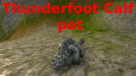 Thunderfoot Calf Pet Wow Dragonflight YouTube