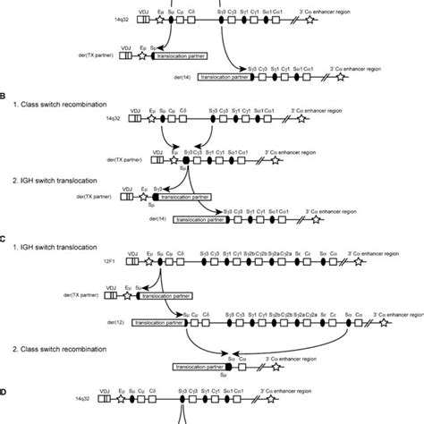 Schematic Overview Of Different Confi Gurations Of Igh Switch Download Scientific Diagram