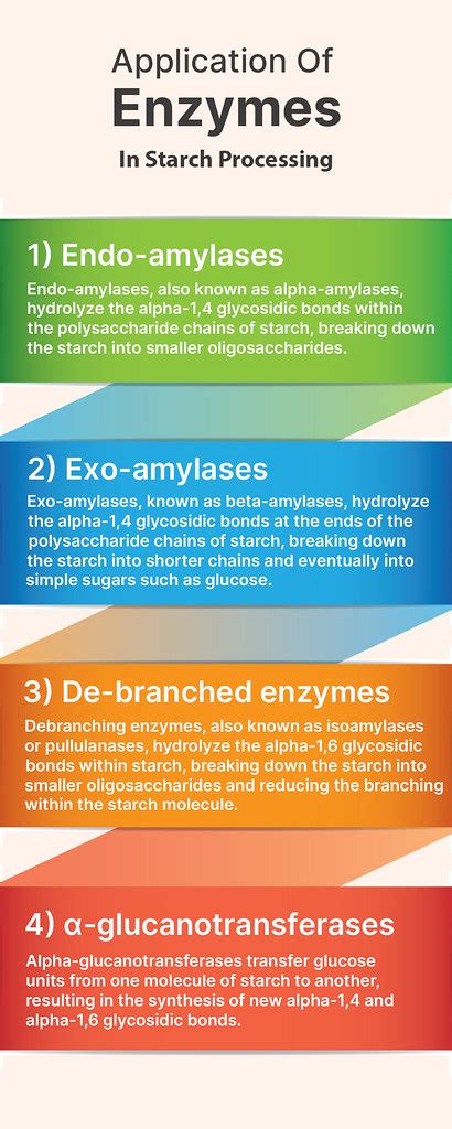 Application Of Enzymes In Starch Processing We Provide Sta Flickr