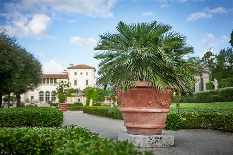 Gallery - Vizcaya Museum & Gardens – Seibert-Rice