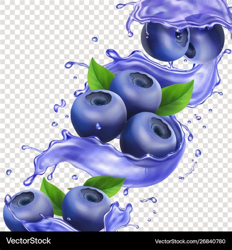 Blueberry In Juice Splash Pure Royalty Free Vector Image